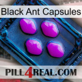 Black Ant Capsules 04